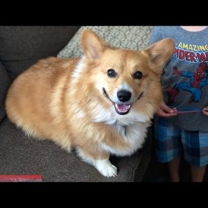 Meet your Posher, Alison